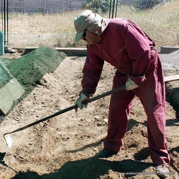 Juan Llano - Colborador